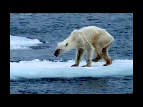 Jay Cullen safe cast and more