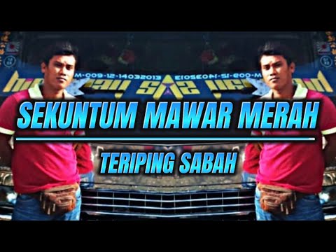 TERIPING SABAH - sepi sekuntum mawar merah
