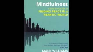 Mindfulness Meditation   Befriending