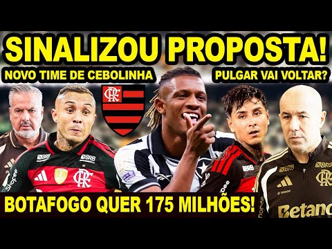 FLAMENGO SINALIZOU UMA PROPOSTA POR DANILO DO BOTAFOGO! NOVO TIME DE EVERTON CEBOLINHA! PULGAR VOLTA