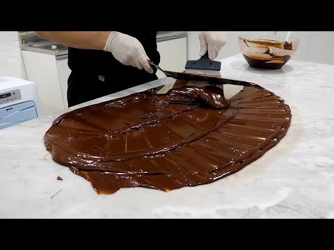 Bean-to-Bar Chocolate Making with Cacao Beans