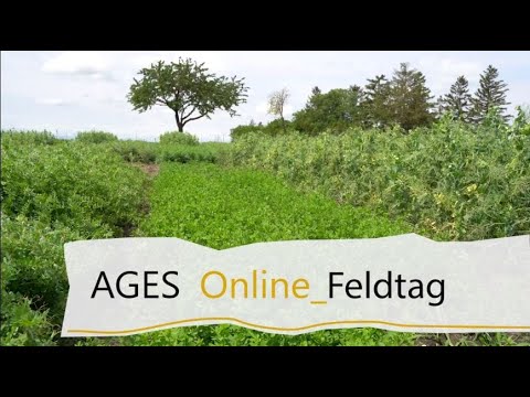 Feldtag 2021 "Fuchsenbigl" // Nanoviren, Anna Moyses & Sabine Grausgruber-Gröger