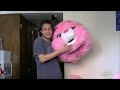 Unboxing Video Cheer Bear From Care Bears Mascot Costume