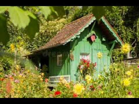 zielony dom - Stare Dobre Małżeństwo (SDM)