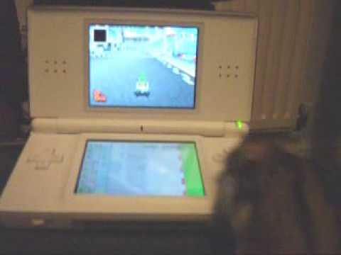 Crazy Hamster Nintendo DS
