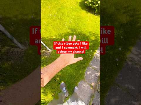 1 like Globglogabgalab