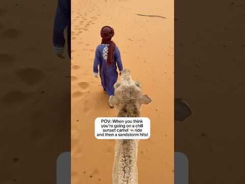 Sunset Camel 🐪 Ride turns into Sandstorm