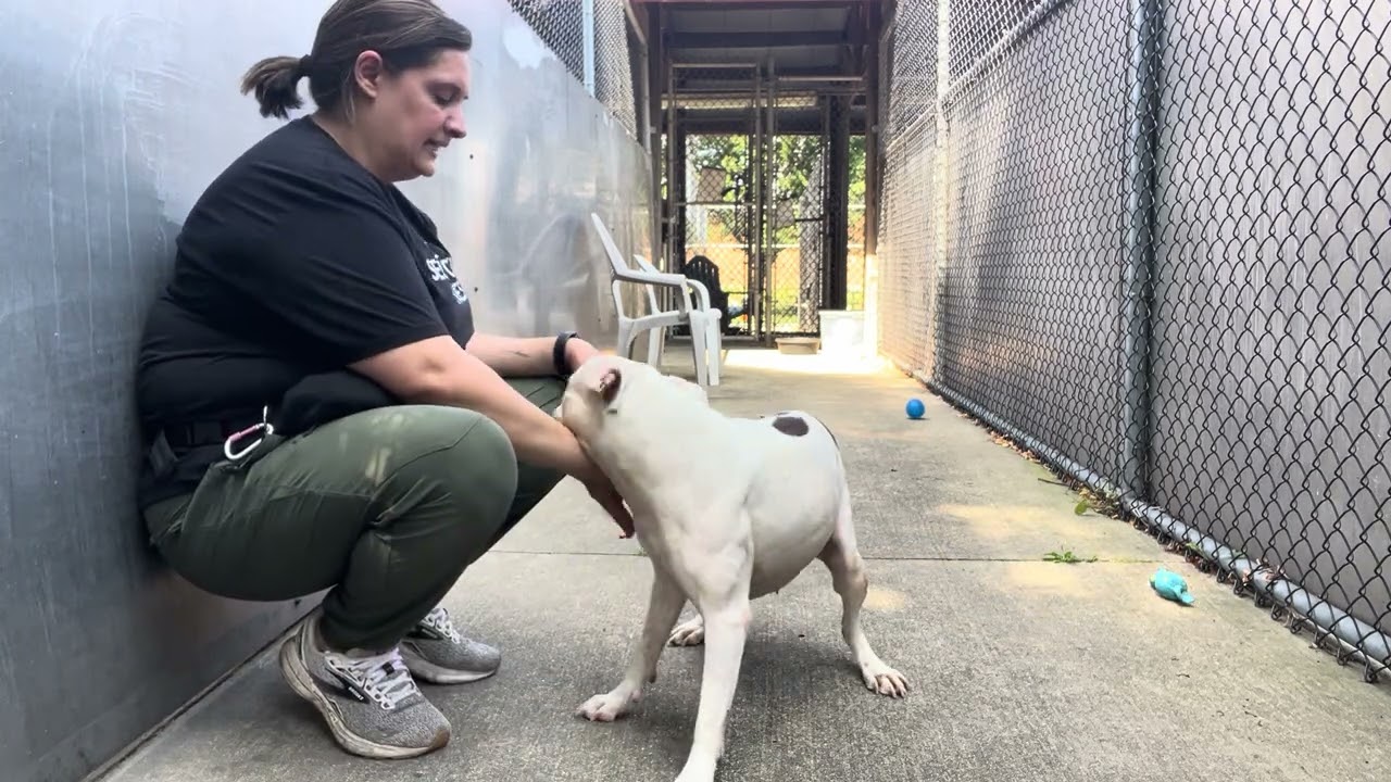 Aislynn video preview