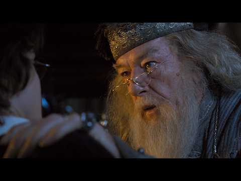'Did you put your name in the Goblet of Fire?' - Full Scene