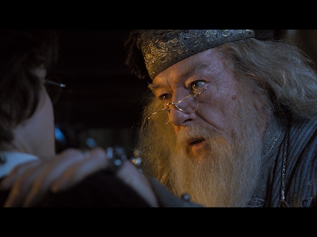 'Did you put your name in the Goblet of Fire?' - Full Scene