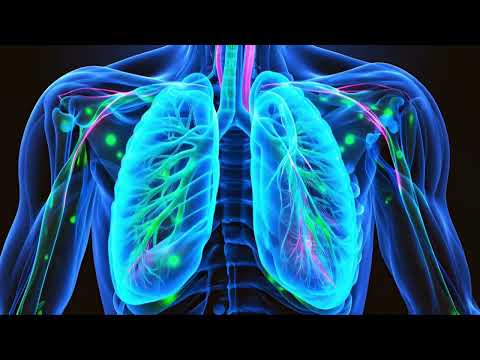 H.F.W. METHODE: Schützende Frequenzen für Lunge & freie Atmung plus Stärkung und Reinigung der Lunge