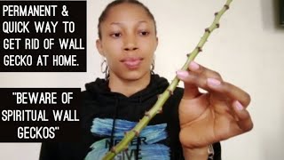 How to get rid of devil lizard called wall gecko at home permanently and quickly-Best home remedy.