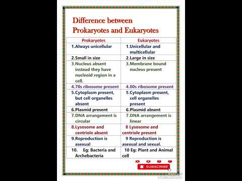 Difference between Prokaryotic and Eukaryotic cell