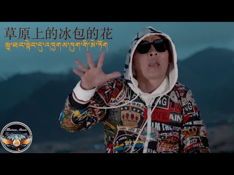 Tibetan new Rap song2020 CWཧོར་འཆི་མེད་དབང་འདུས།རྩྭ་ཐང་སྟེང་གི་འཁྱགས་ཁུག་གི་མེ་ཏོག།其美旺堆 草原上冰包的花