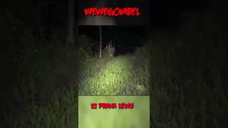 Download lagu PENAMPAKAN WEWEGOMBEL ASLI #shortsfeed #shorts #sceror #fypシ゚viral mp3