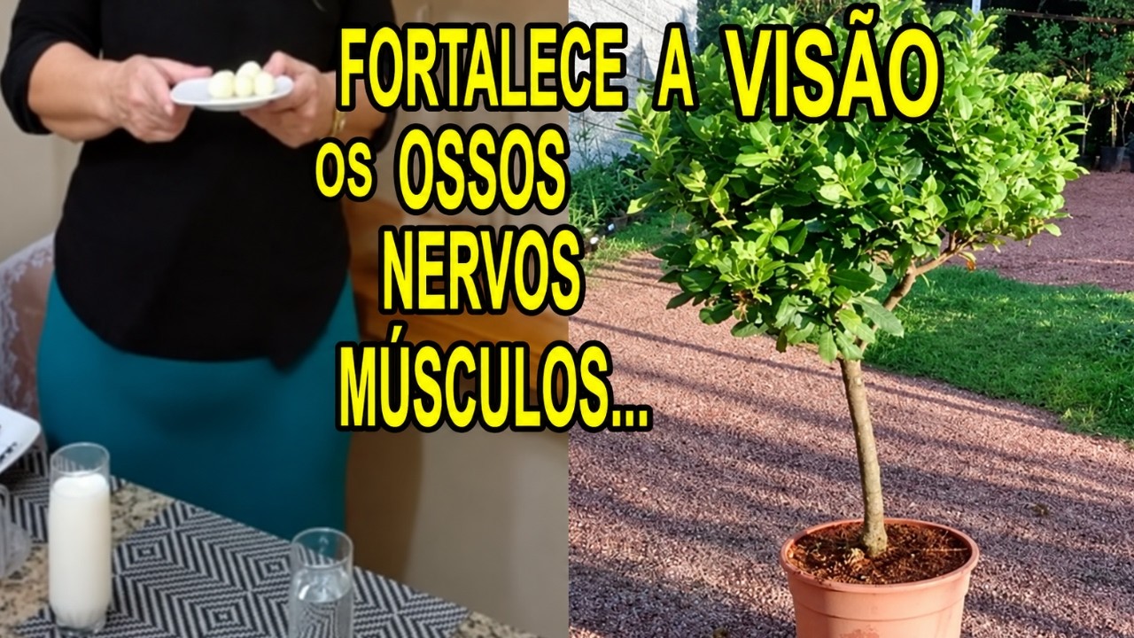 Inflamação nos Nervos, Hérnia de Disco, Artrite, Problemas de Visão… #Remédio 💖MARILENE SARAH FIALHO