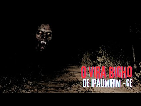 O VIRA BICHO DE IPAUMIRIM - CEARÁ.