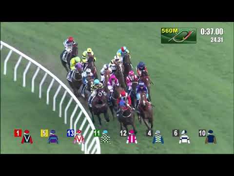 29/5/2022 (711) Winning Dreamer - Vincent Ho