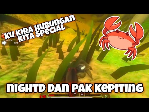 nightD Dan Pak Kepiting