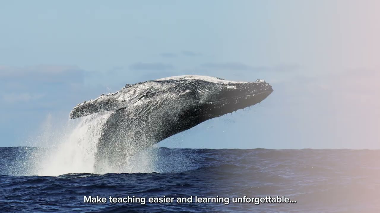 2026 Spring Learning Experience Lineup