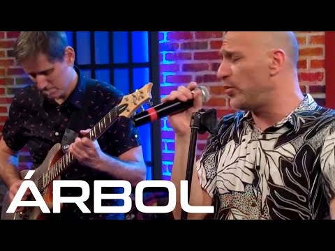 ÁRBOL 🌳 TRENES, CAMIONES Y TRACTORES //Acústico en vivo Banda Soporte 🎸