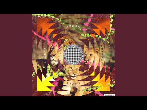 Map of Foreign Lands (feat. Kianu)