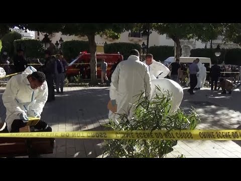 Tunis suicide bomber injures nine people