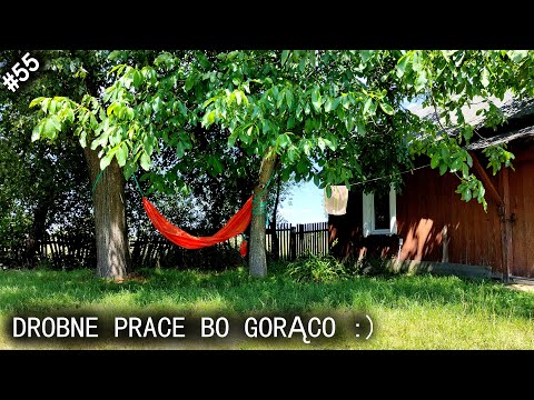 Habitat - reanimation episode 55 "Trinkets in the shadow"