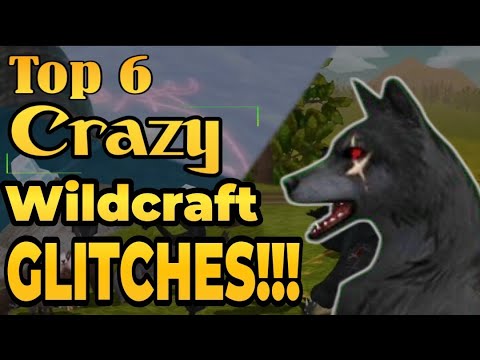 Top 6 crazy wildcraft glitches #MysticHowlersTV #WildCraft #Glitchs #Crazy #Top #Animalsimulator 🐺