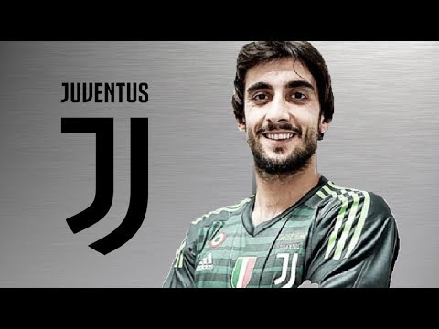 MATTIA PERIN | Welcome To Juventus | Best Saves & Overall Goalkeeping 2018 (HD)