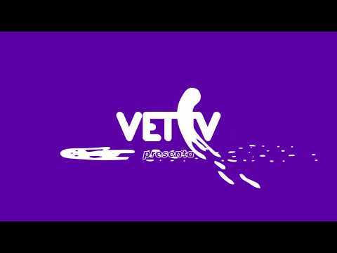 VetTV App