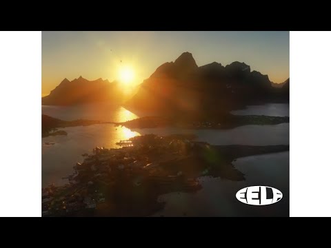 Pamplem'House - Forbidden Luv