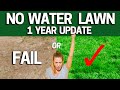 NO WATER LAWN- 1 Year Later Update