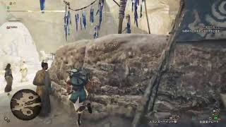 [MHWs/PS版]今更始める初心者ワイルズ