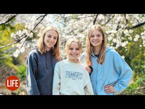 Sakura 🌸 Life in Japan EP 355