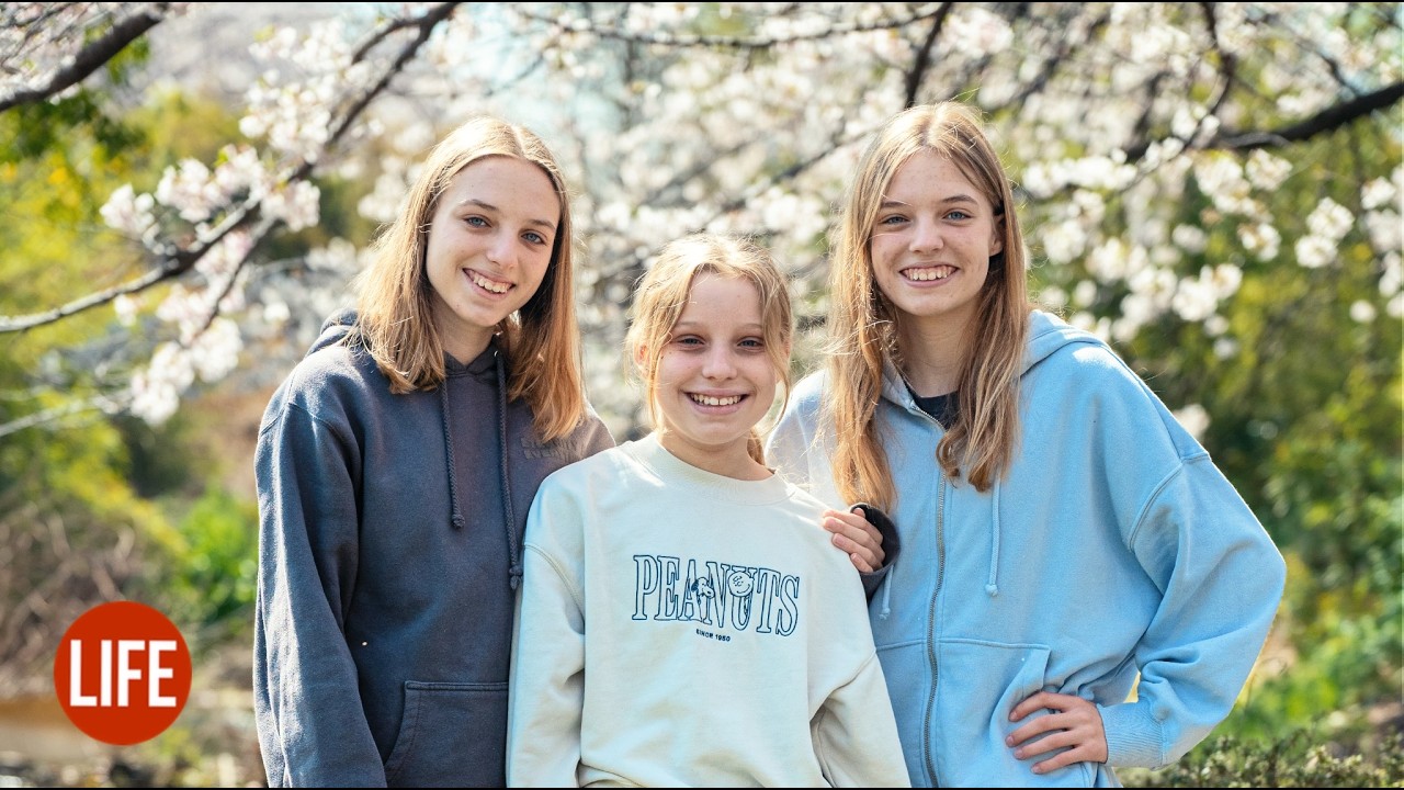 Sakura 🌸 Life in Japan EP 355