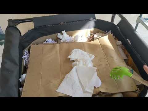 Checking on the Mites and Gnats 🦟 - Day 339 - Urban Worm Bag v2 -Vermicomposting Outdoors