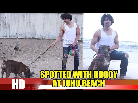 Gurmeet Choudhary Spotted With His Dog At Juhu Beach
