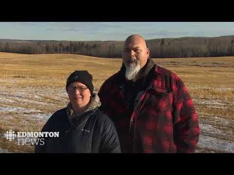 CBC Alberta Earl the Pet Pig Shot to death