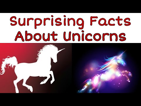 Top 10 Facts About Unicorns You Don't Know