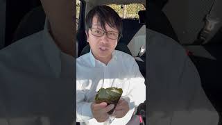 45歳独身セブンおにぎり100円セール闇の罠 #あるある #japan ＃vlog
