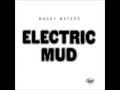 Muddy Waters - She's alright - Lazar Zivadinovic Muddy Waters - She's alright