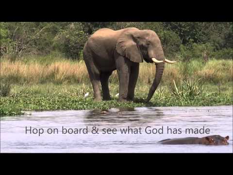 Welcome to the King's Animal Kingdom!