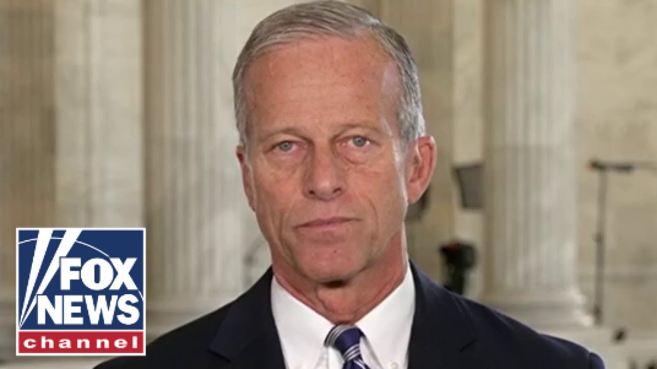 Sen Thune issues BOLD warning to Dems on shutdown: Will 'cost them'