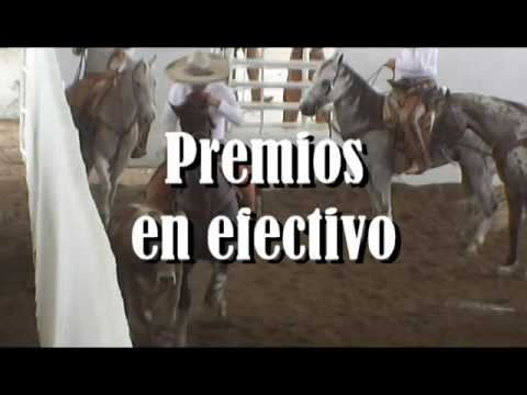 II PIALADERO Y COLEADERO ENTRE AMIGOS