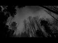 Kaleo Way Down We Go Slowed Reverb