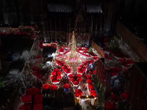 Diamond Christmas market… this is…. Cologne, Germany! 🇩🇪  #travel #travelshorts #christmasmarket