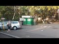 O Scurtă Călătorie Cu Autobuzul Mercedes Benz Citaro E4 6268 182