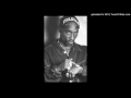2pac -Never Say Never