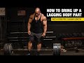How To Bring Up A Lagging Body Part with Shawn Smith